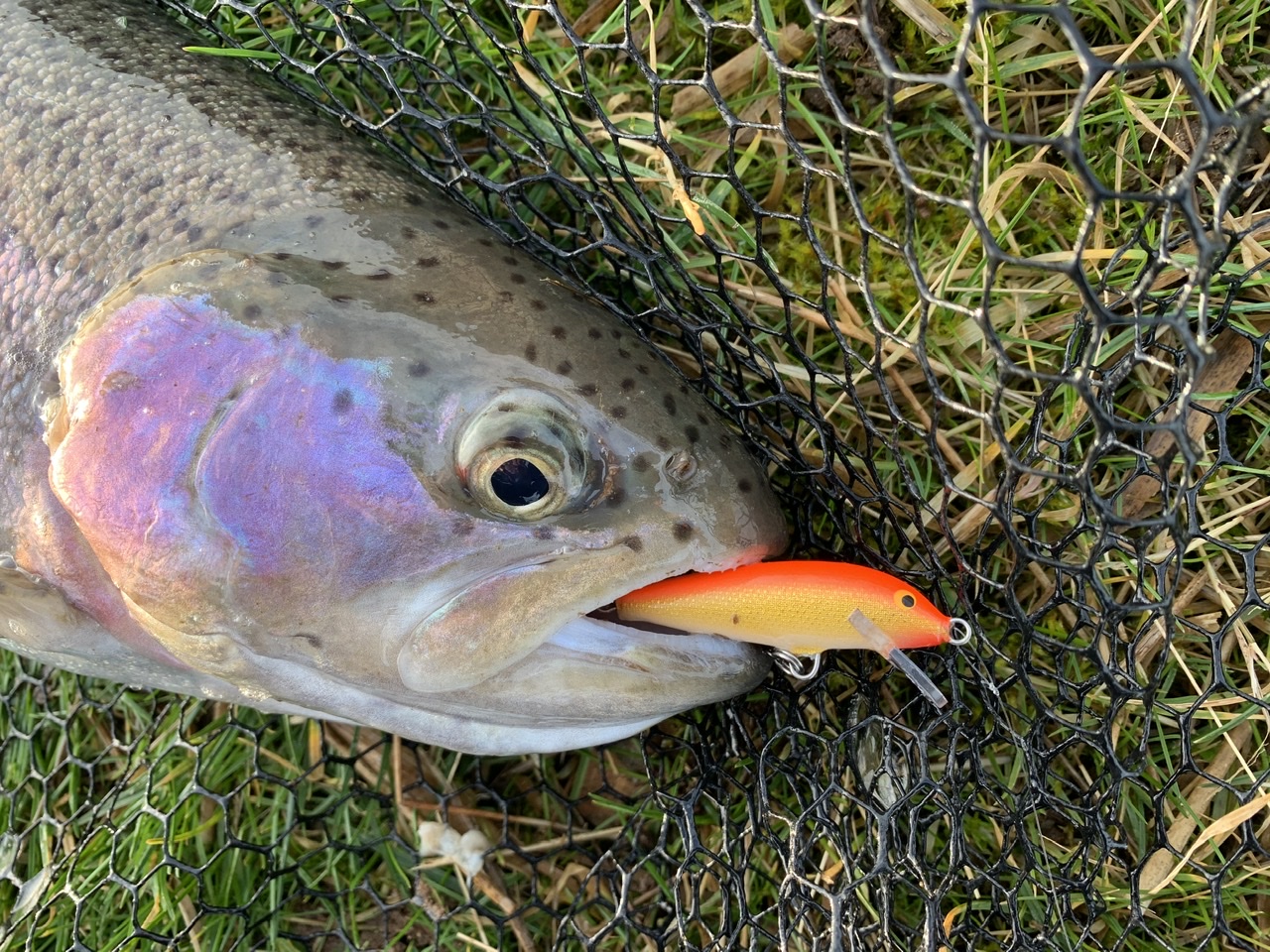 Klassikere i Put’en - Rapala.dk
